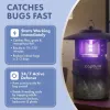 Test EZCapture T10 : le piège à insectes discret qui remplace (plus ou moins) le zapper