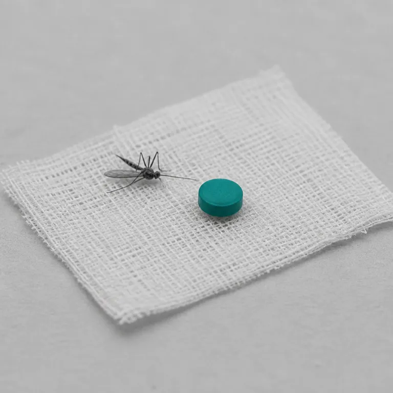 Piqûre de moustique qui gonfle et démange trois jours : décoder la réaction et savoir quand consulter