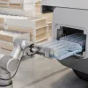Quatre millions de moustiques stériles lâchés en Isère : la technique de l'insecte stérile peut-elle passer à l'échelle ?