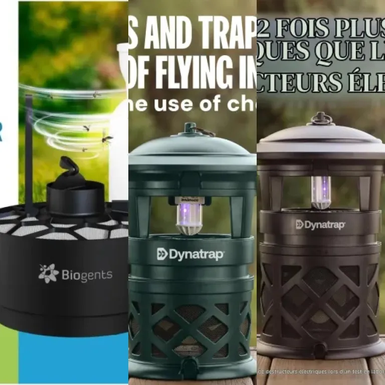 Les 3 meilleurs pièges à moustiques grandes surfaces (septembre 2026)
