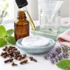 Huile essentielle de clou de girofle : un allié naturel contre les moustiques