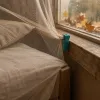 Quand le froid arrive, ils rentrent : protéger sa chambre des moustiques d'automne