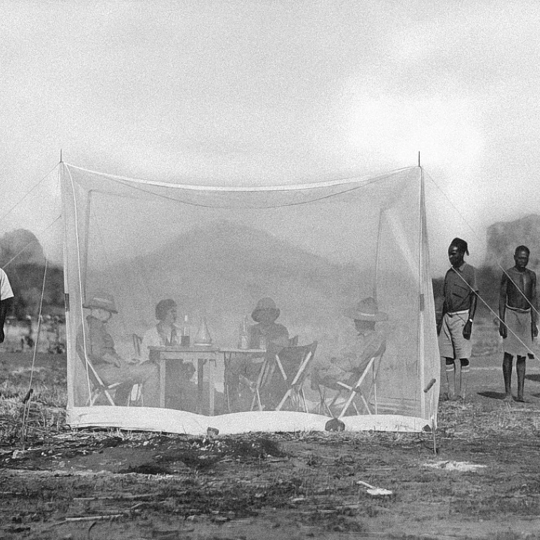 L'art du piégeage des moustiques : Stratégies et défis