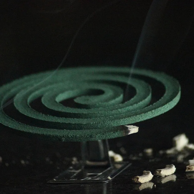 Comment choisir une plante qui repousse les moustiques efficacement