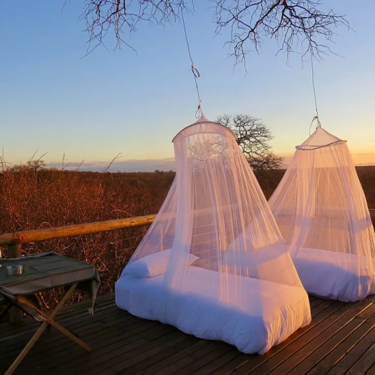 Comment la lavande aspic agit contre les moustiques : mythe ou réalité ?