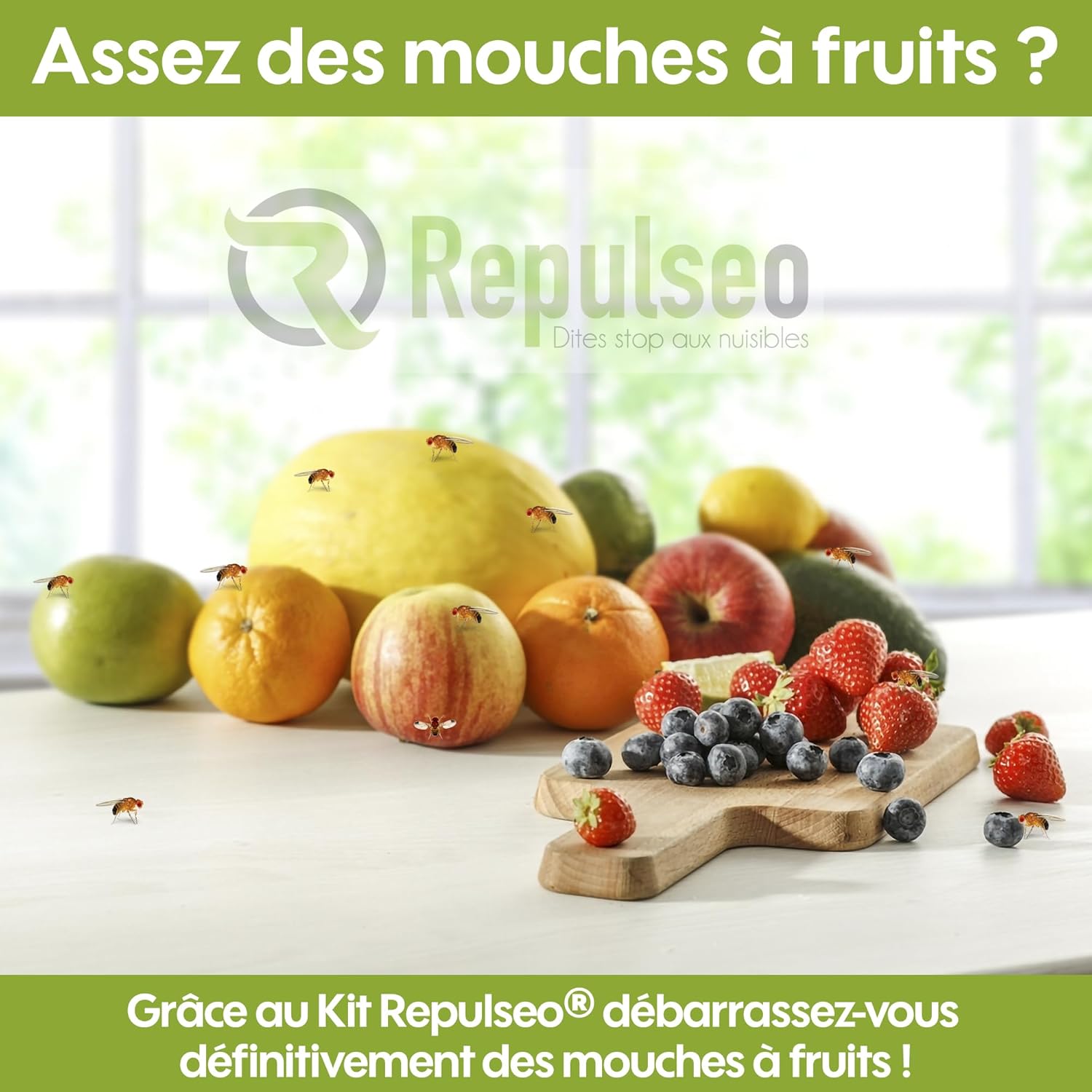 ® Piège à Mouches des Fruits ✯Made in UE✯, Anti Moucherons Intérieur, Attrape Moucherons Cuisine, Piege Moucherons et Mouchettes Fruits intérieur [Remède Naturel et sans Insecticide]