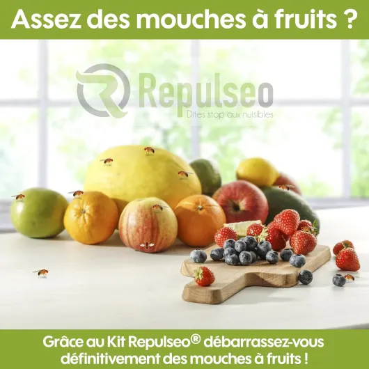 ® Piège à Mouches des Fruits ✯Made in UE✯, Anti Moucherons Intérieur, Attrape Moucherons Cuisine, Piege Moucherons et Mouchettes Fruits intérieur [Remède Naturel et sans Insecticide]