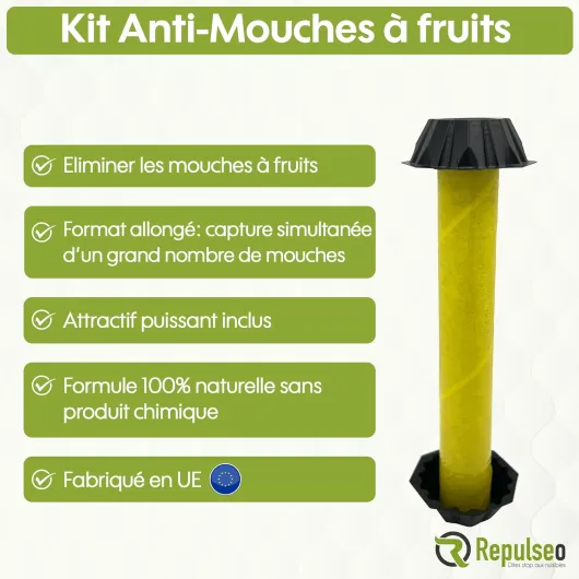 71F2sTg8TFL._AC_SL1500_