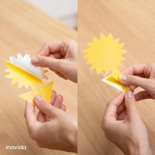 71nL2 lY7jL._AC_SL1500_