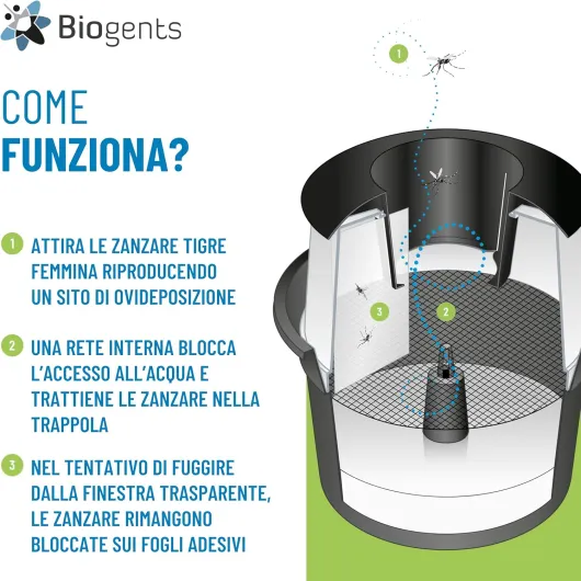 81K1o16FMoL._AC_SL1500_