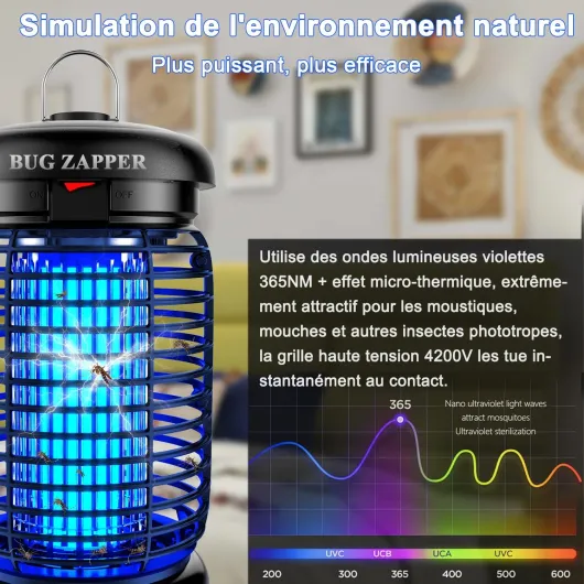 81pRgtWHsvL._AC_SL1500_