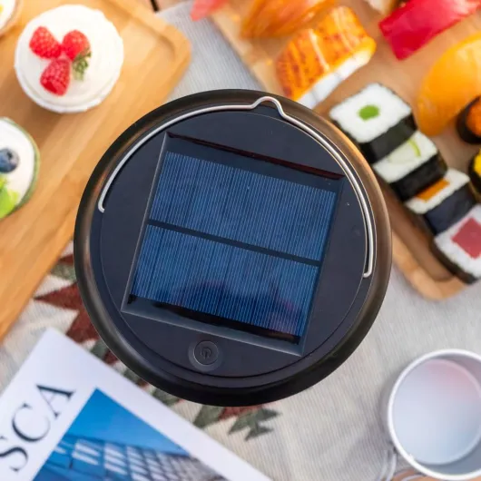 61Qpy2iAsoL._AC_SL1000_