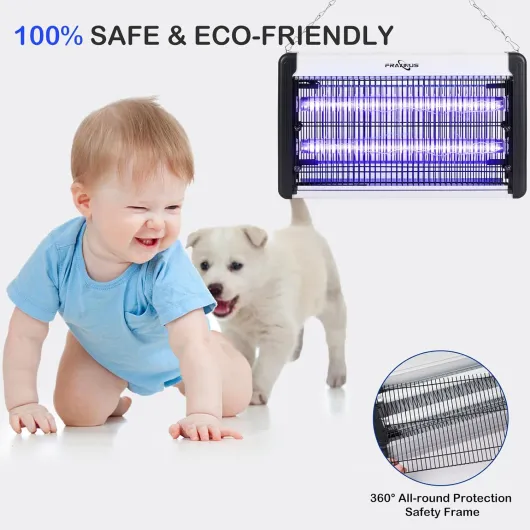 71k4wbIQr L._AC_SL1500_