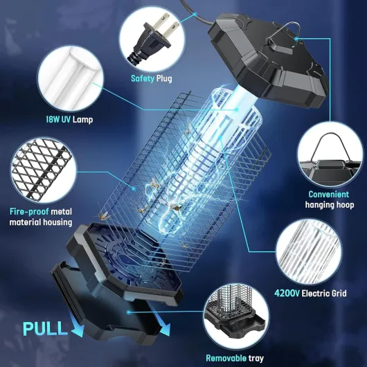 71nBvOgOnhL._AC_SL1500_