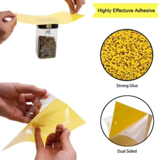 61LzrnDQJxL._AC_SL1001_