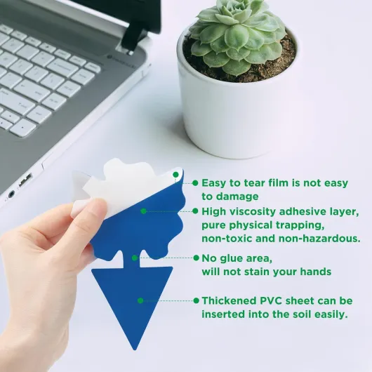 71yVfI68QfL._AC_SL1500_