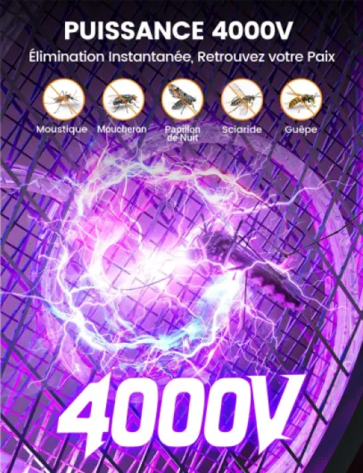 81HyZ7Hjs0L._AC_SL1500_