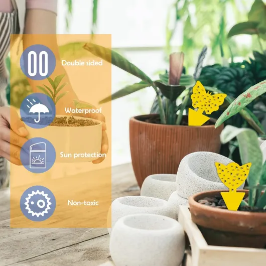 71xGZC6YrtL._AC_SL1500_