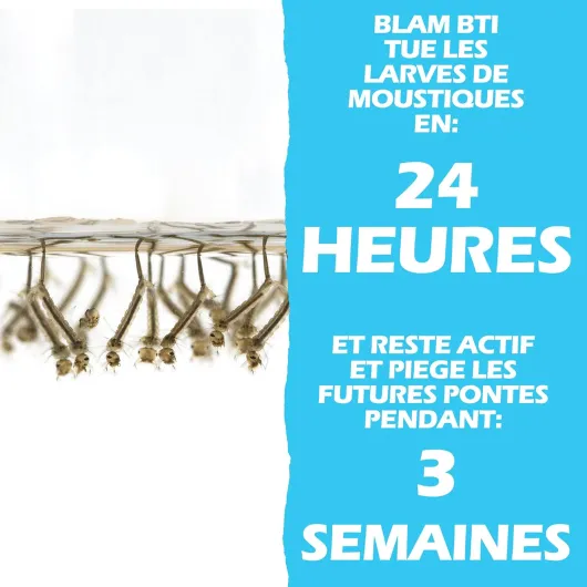 BLAM BTI WP Larvicide anti larves de moustiques pour 200m² à base de BTI - Formule larvicide concentrée - Pour Piscine/Eau Stagnante/Bassin - Bacillus Thuringiensis Israelensis (100g) 100 g