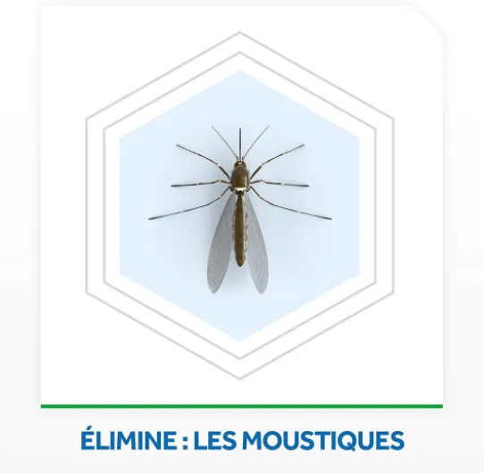 71APXfItN9L._AC_SL1500_