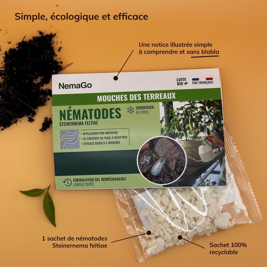 Nematodes mouches terreau + 5 Pièges jaunes Anti Moucherons Interieur (mouche de terreau) - Tres Efficace - écologique - Attrape Mouche De Plantes