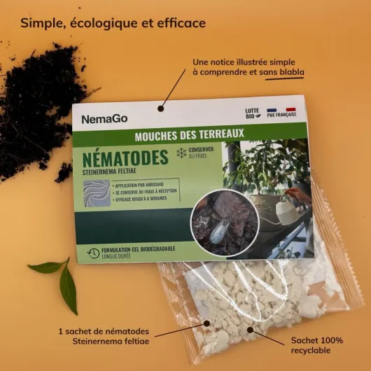 Nematodes mouches terreau + 5 Pièges jaunes Anti Moucherons Interieur (mouche de terreau) - Tres Efficace - écologique - Attrape Mouche De Plantes