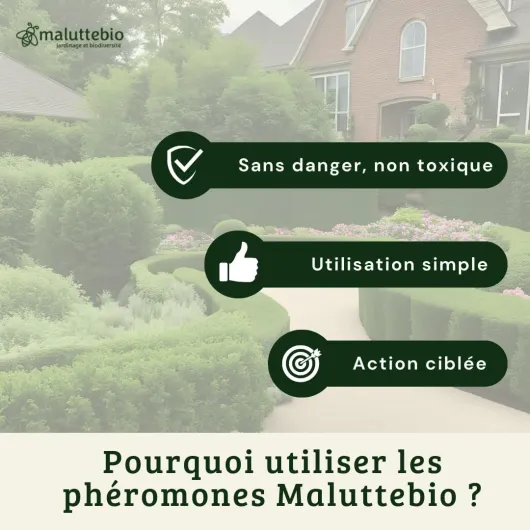 61pH6GTepYL._AC_SL1080_