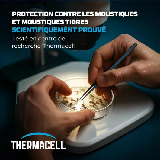 61kICaQ2 vL._AC_SL1080_