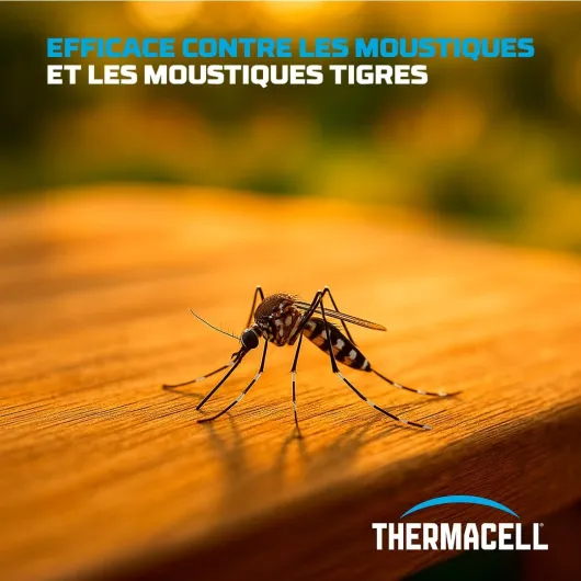 61oUTTMBtmL._AC_SL1080_