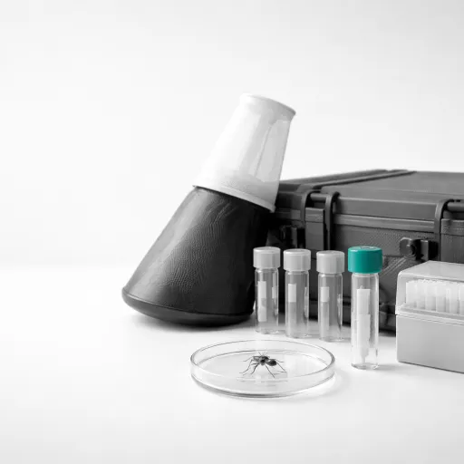 Chikungunya autochtone en France : 809 cas en 2025, pourquoi l'été 2026 inquiète les épidémiologistes