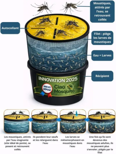 Piège Moustique Tigre & Larves – Anti Moustique Extérieur Écologique Sans Insecticide Ni Électricité – Eau Stagnante Jardin Terrasse Balcon – Ciao Mosquito® Brevet Déposé Invention Française – Lot de1