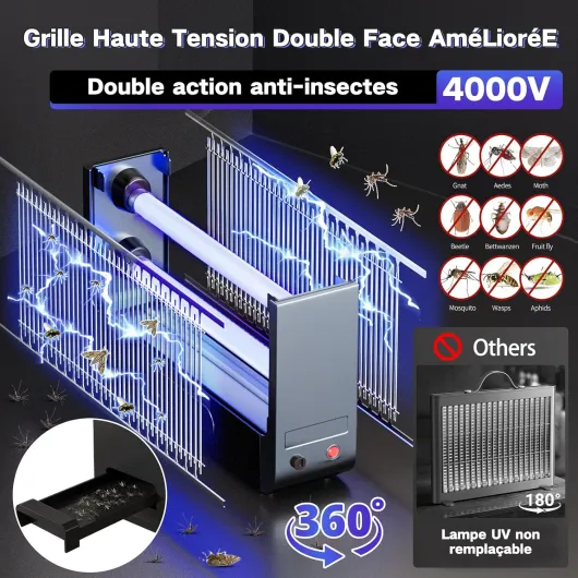 81px02eEOLL._AC_SL1500_