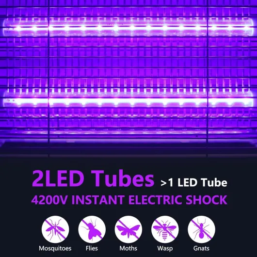 71Vr8CZUUlL._AC_SL1500_