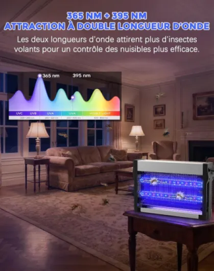 81FmVwt08OL._AC_SL1500_