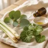 Répulsif moustique naturel : citronnelle, eucalyptus citronné, géranium, durée de protection réelle et limites