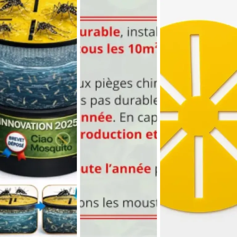Classement des 4 meilleurs pièges à moustiques attractifs naturels (2026)