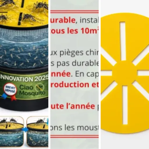 Classement des 4 meilleurs pièges à moustiques attractifs naturels (juin 2026)