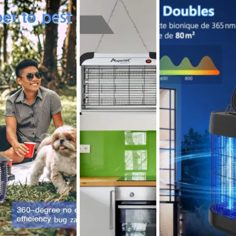 Top 9 des meilleurs pièges à moustiques UV haute intensité (2026)