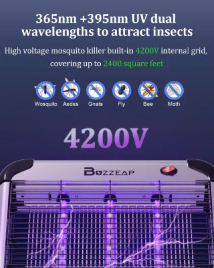 71QrUPX68HL._AC_SL1500_