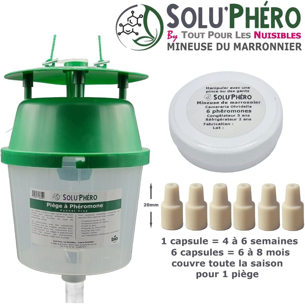 SOLUPHERO - Kit 1 Piège Funnel + 6 Phéromones Mineuse Marronnier Bio - Efficacité par Capsule de 4 à 6 Semaines - Phéromone Écologique de Contrôle de Cameraria Ohridella