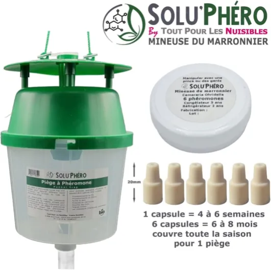 SOLUPHERO - Kit 1 Piège Funnel + 6 Phéromones Mineuse Marronnier Bio - Efficacité par Capsule de 4 à 6 Semaines - Phéromone Écologique de Contrôle de Cameraria Ohridella