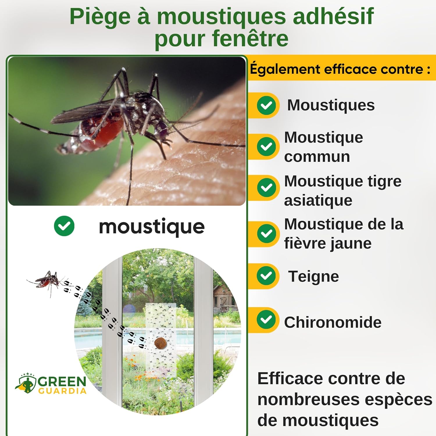 GREEN GUARDIA Piège à moustiques pour fenêtre avec attractif spécial – 9 pièges – Respectueux de l'environnement – Piège sans produits chimiques avec surface adhésive puissante, non toxique et sans 9 pièges pour fenêtre