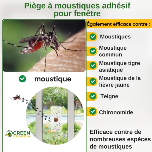 GREEN GUARDIA Piège à moustiques pour fenêtre avec attractif spécial – 9 pièges – Respectueux de l'environnement – Piège sans produits chimiques avec surface adhésive puissante, non toxique et sans 9 pièges pour fenêtre