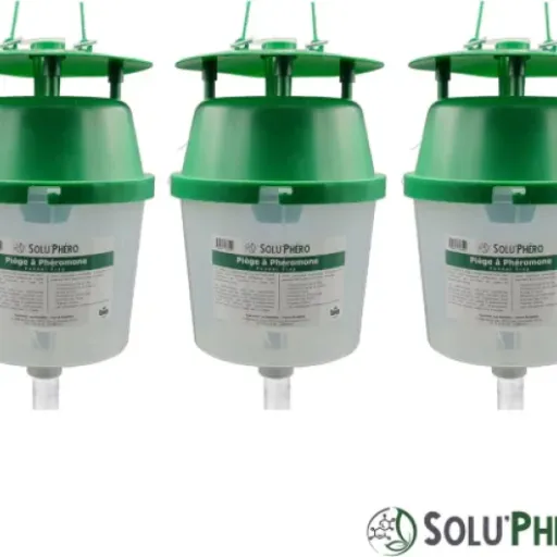 Test Lot de 3 Pièges à Phéromones Funnel Trap SOLU'PHERO : le kit basique pour surveiller les papillons au jardin