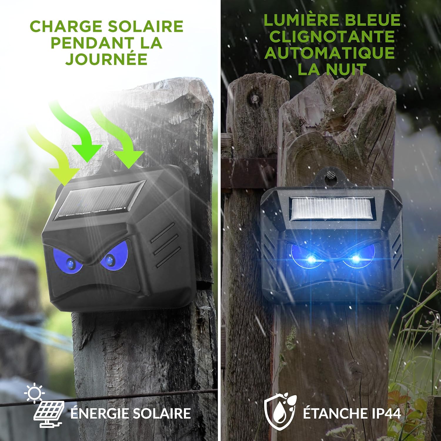 Répulsif Solaire ratons laveurs, Cerfs, Renards et sangliers – Protection Animaux Sauvages avec LED Bleue – Dissuasion Efficace portée 40 m² – Lot de 4 pièces pour Jardin et extérieur
