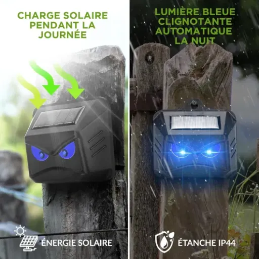 Test ISOTRONIC Répulsif Solaire : les petites LED bleues qui font vraiment fuir les bêtes ?