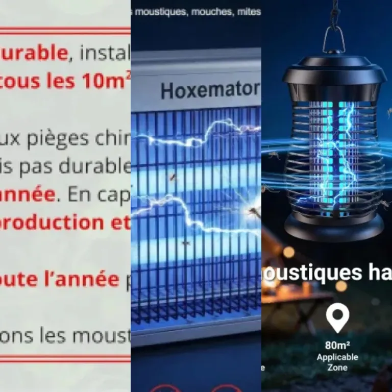 Les meilleurs pièges moustiques tigres haute efficacité : notre top 6 (2026)