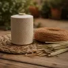 Quel piège à moustiques efficace choisir pour protéger votre maison et votre jardin