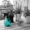 Comment éloigner les moustiques avec des solutions naturelles vraiment efficaces