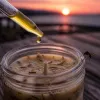 Bougie à la citronnelle sur la terrasse : protection réelle ou simple parfum d'ambiance ?